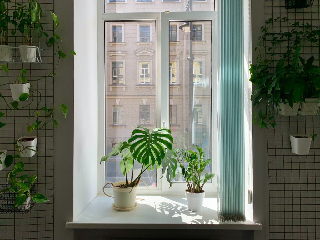 Moving plants by moving company